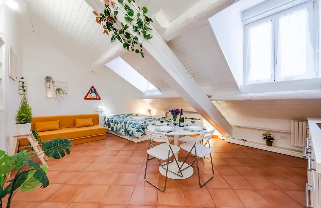 The White Jungle - San Babila Attic-1