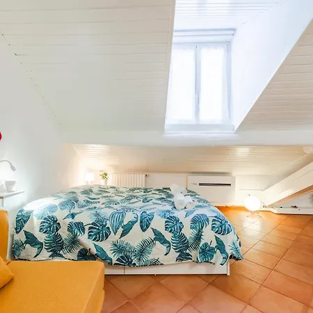 The White Jungle - San Babila Attic-3